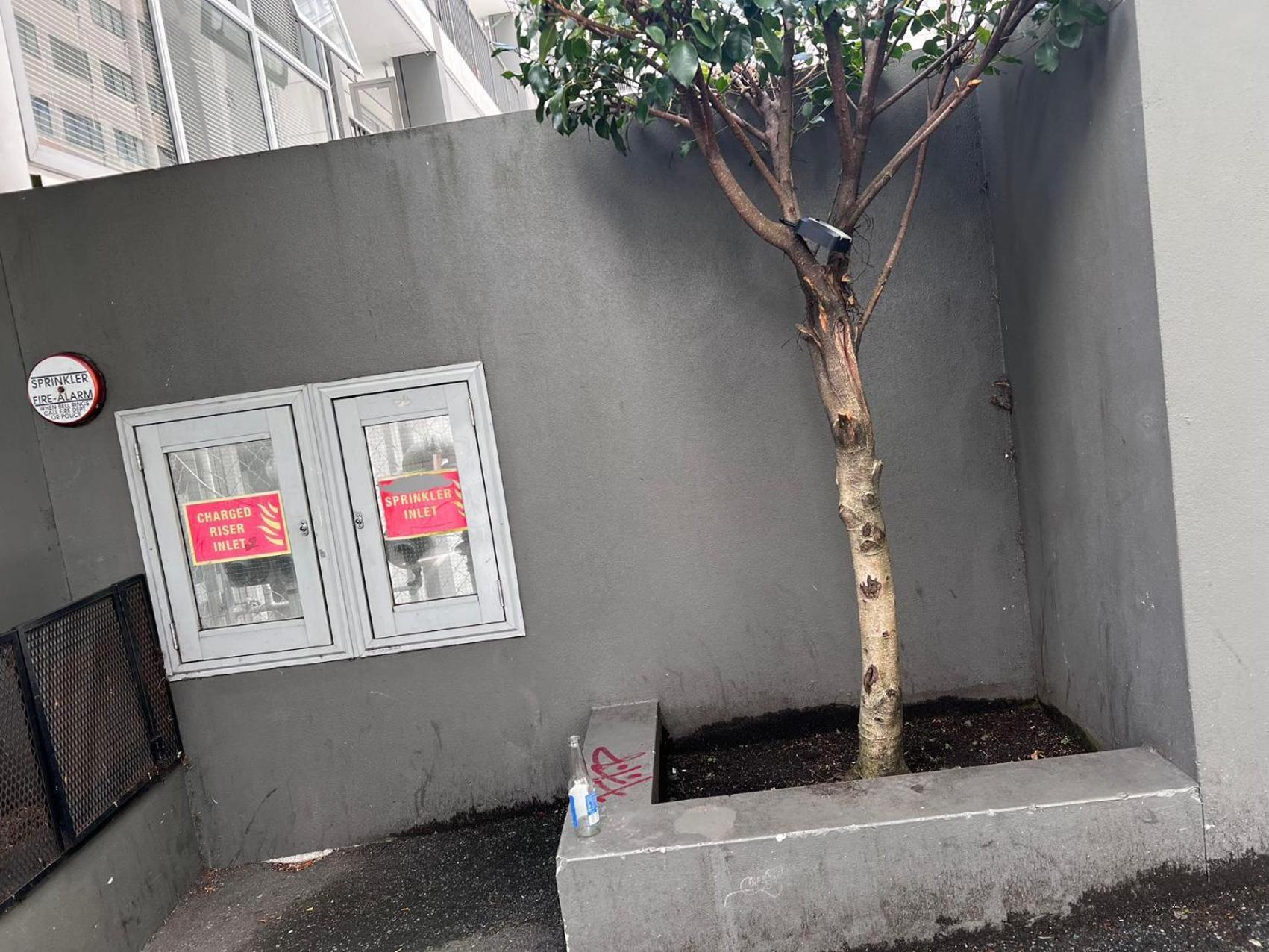 Aura A1204 Two Bedrooms 1 Living Wi-Fi Balcony Harbor View Parking Easy Auckland Eksteriør billede